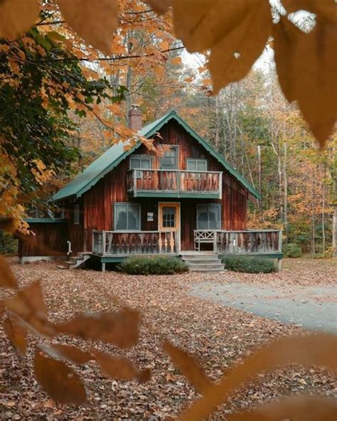 Discover the Enchantment of Thanksgiving in a Secluded Tree House Retreat